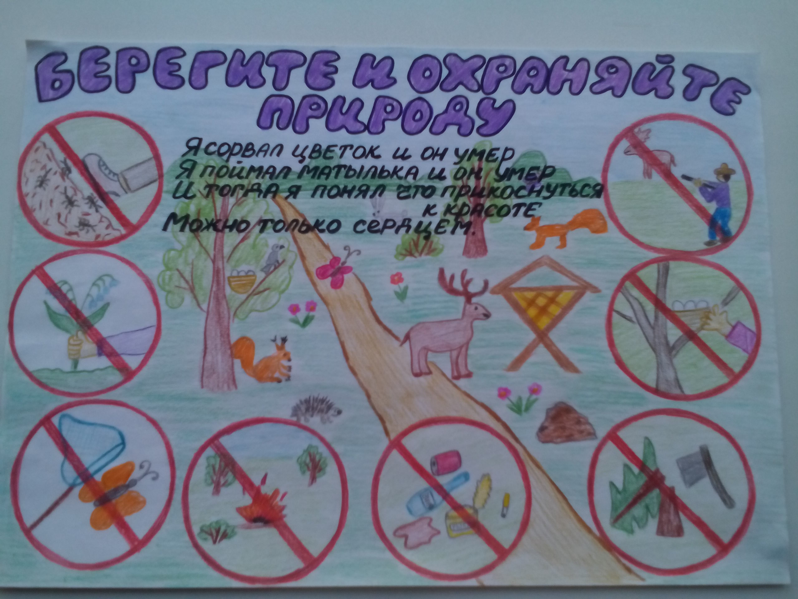 Плакаты об охране природы для детей