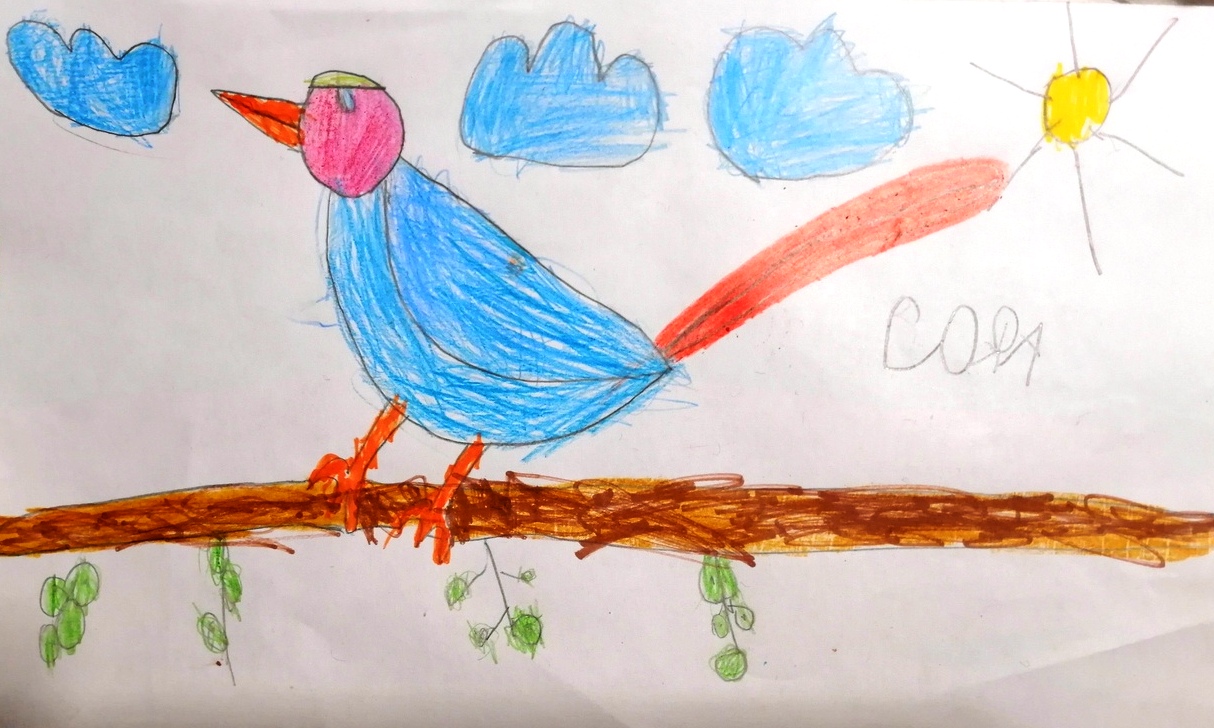 Праздник птиц изо 1. Конкурс в мире птиц. Комарова рисование красивая птичка. Изобразительное искусство 1 класс праздник птиц. Рисунки детей на тему "красивая птичка".