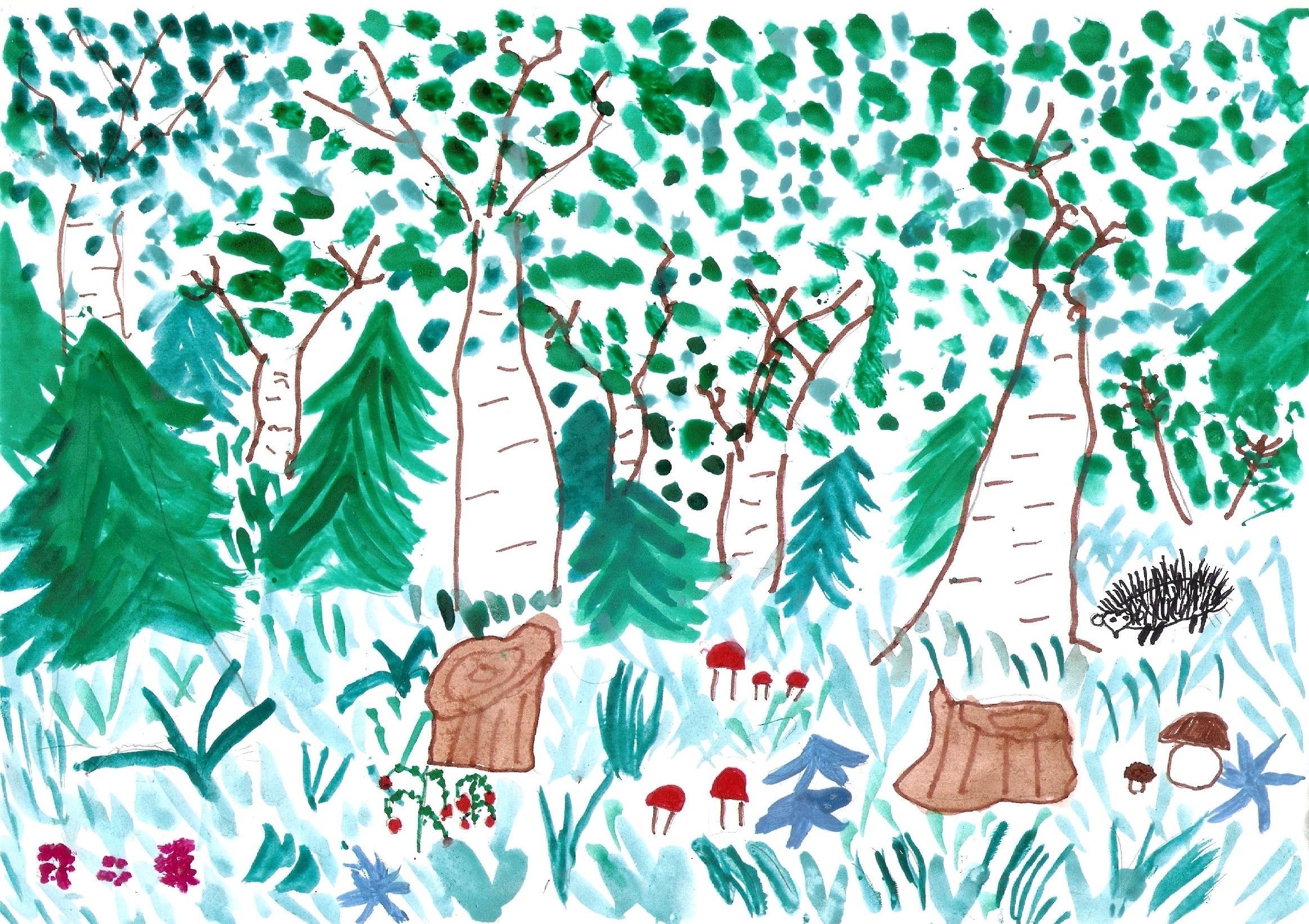 Лесная красота рисунок. Рисование на тему лес. Рисунок на тему лес. Красота леса рисунок. Рисунок на тему дети о лесе.